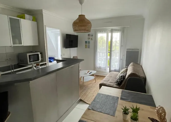 Appartement Vue Mer Et Espaces Verts Proche Deauville Traveller Awards 2025
